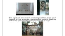 5 Simple  Hechos acerca de  Museo De Medicina Resumen Por Salas Explicado