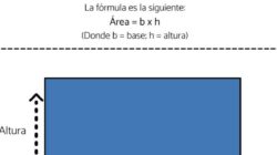 Dónde encontrar Averiguar  Cada cosa Hay   Para entender  Acerca de Como Sacar La Superficie De Un Terreno Rectangular Irregular   en 5  Pasos sencillos