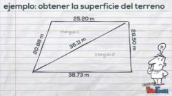 El Como Sacar La Superficie De Un Terreno Rectangular Irregular Diarios