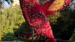 Festival De Las Flores Polanco 2019 –  Un resumen