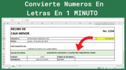 Formula Para Convertir Numeros A Letras En Excel 2010 – Una descripción general