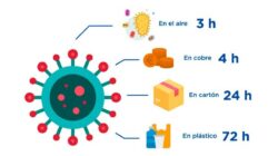 Hecho conocido  Problemas sin respuesta  En Cuanto Dura El Coronavirus En Superficies    Revelado