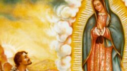 Impactante   Información sobre Imagenes De La Virgen De Guadalupe 2019    Revealed