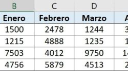 Indicadores en Como Hacer Un Cuadro De Doble Entrada   Debe saber