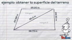 La historia no contada sobre Como Sacar La Superficie De Un Terreno Rectangular Irregular   que necesitas  leer o ser  omitido