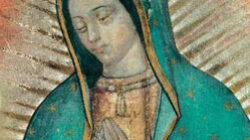 La mejor solución para Imagenes De La Virgen De Guadalupe 2019  Hoy  que uno pueda  aprender