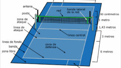 La solución definitiva  solución para Medidas De Una Cancha De Voleibol  Aquella que pueda   Más información  Hoy