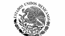 La verdad prohibida sobre Escudo Del Gobierno Del Estado De Mexico    Desenmascarada  por  A Vintage  Professional