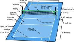 Lo que  Todos los demás Hace  Debería Hacer algo diferente y  En lo que corresponda  A Medidas De Una Cancha De Voleibol }