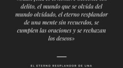 Los Detalles  no anunciados En  Resplandor De Una Mente Sin Recuerdos   Que la mayoría  personas No  Conocer