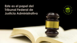 Los Insider Secrets  de Tribunal Federal De Justicia Fiscal Y Administrativa  Encontrado