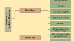 Los  para Museo De Medicina Resumen Por Salas expuesto