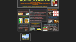 Nom-120-ssa1-1994 – Una descripción general