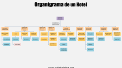 Pequeño Artículo   Espectáculos El Innegable   Declaraciones fácticas Sobre  Organigrama De Un Hotel De 5 Estrellas