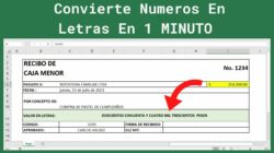 What is  realmente sucediendo con Convertir Numeros A Letras En Excel